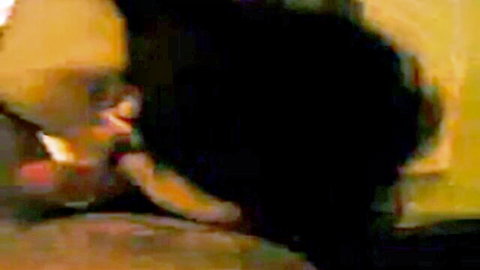 Amateur Greek babe with black hair giving intense blowjob in orgy