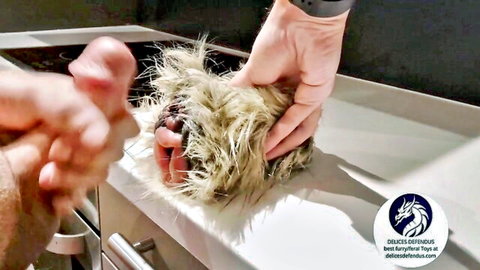 Furry dog sex toy Roxy from Delices Defendus used anally and vaginally