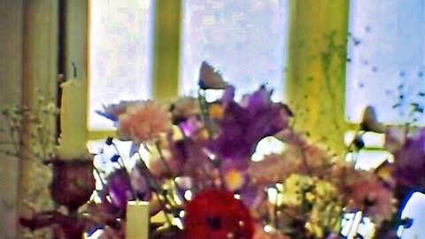 Vintage 1976 golden age porn thumbnail: artistic floral arrangement with candles by window from The Autobiography of a Flea