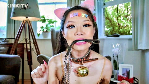 Wan Chan in pet girl BDSM training, wearing collar, gag and cat ears