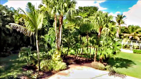 Crystal Rush in tropical outdoor vacation setting, sexy Latina tease