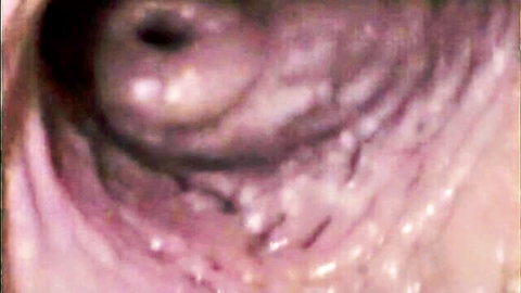Intimate endoscopic view inside vagina during sex
