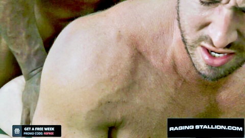 Muscular bearded men in intense gay wrestling embrace