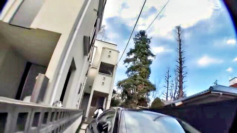 Fisheye POV dashcam of quiet Japanese street with white buildings and trees