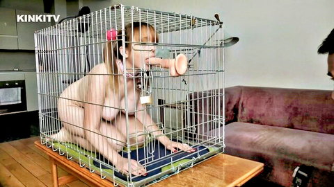 Cherry nude in dog cage, dildo gag, petplay fetish on KinkTV