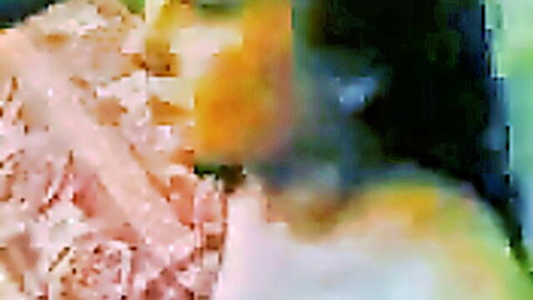 Beautiful Arab slut prostitute enjoying thick dick closeup