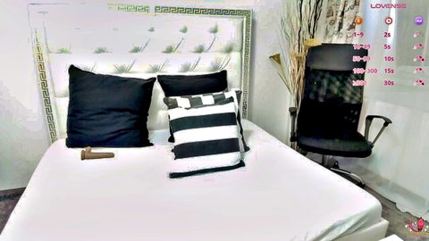 YoungPervertx MyFreeCams bedroom setup with pillows and sex toy on bed