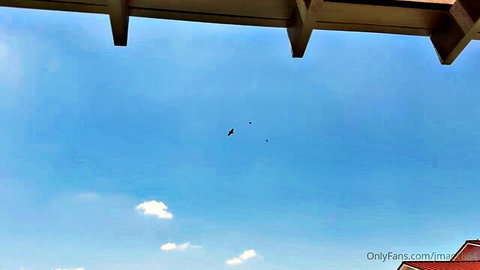 Birds flying in clear blue sky under wooden beams with OnlyFans watermark