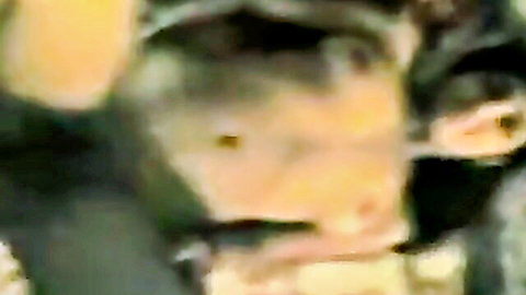 Blurry closeup of chimpanzee face with wide open mouth and yellow tint