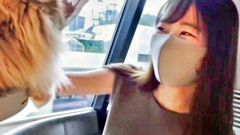 East Asian woman in mask petting fluffy white dog through car window smiling with eyes