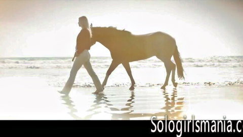 Scarlet Red silhouette walking horse on sunny beach at sunset