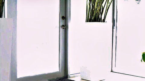 All Natural First Time Goddess elegant indoor plants by frosted door