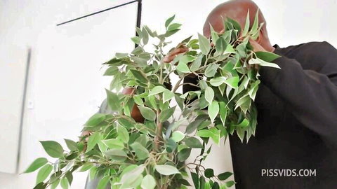 Bald Black man teasing with green leaves over crotch, Vittoria Divine gangbang scene