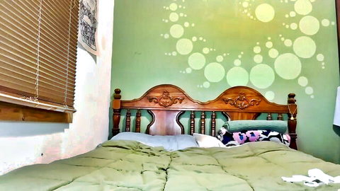 Cozy green bedroom with wooden bed for pretty frisky kitty tease