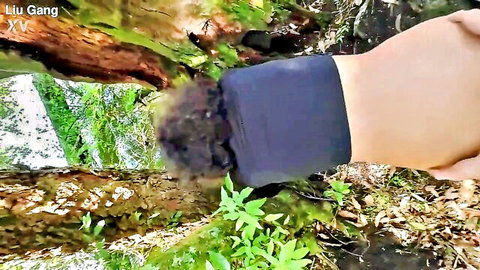 Sexy slim trans woman riding cock in lush outdoor forest setting