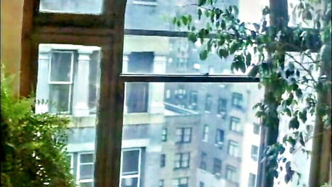 Vintage 1980s urban window view with green plants in retro adult film scene