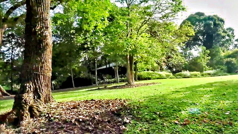 Jill Kassidy in serene outdoor garden with lush trees and grass