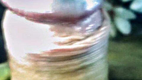 Diosaera & Zeus718 extreme POV cumshot close-up on penis