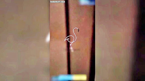 Blurry white flamingo silhouette on wooden door with mobekey watermark