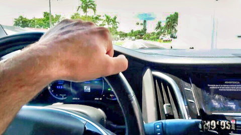 Lola Leda gripping steering wheel in Tesla on sunny palm-lined drive