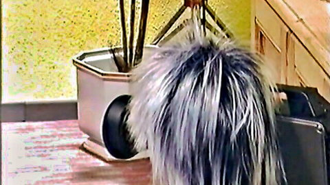 Curly-haired skinny babe bent over in classic porn scene