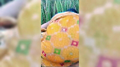 Blurry Indian woman in yellow patterned saree bending in grass field showing big ass