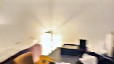 Blurry indoor hallway scene from Pam's naughty Lyon adult video