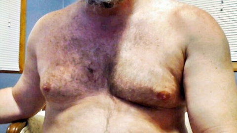 Hairy bearded daddy exposing purple bruised chest and puffy nipples