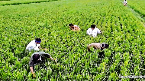 Choe Seon-Mi in outdoor rice field scene with workers, Only My Husband Does Not Know