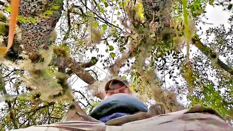 POV low-angle view of mature man standing over in outdoor mossy forest