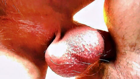 Close-up of hairy swollen balls in intense gay sex scene