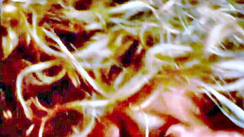 Blurry close-up of delicate teen in sensual sex scene