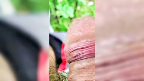 Closeup of erect cock with red cock ring squeezed over swollen glans outdoors in green bushes