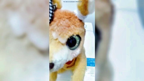 Close-up of cute furreal kangaroo plush toy with bow in adult video thumbnail