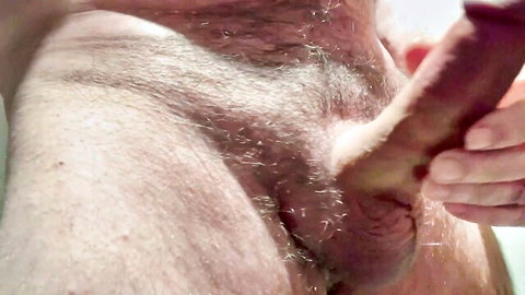 Close-up of erect hairy cock held by woman's hand, teasing pose