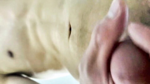 POV close-up of Asian woman's abdomen and intimate area with hand touch