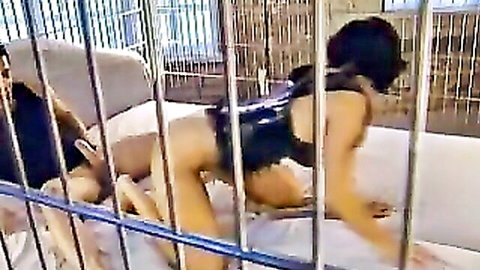 Jenny in black harness getting anal fucked doggystyle