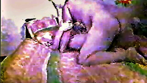 Chubby Asian woman in intense missionary sex position with partner