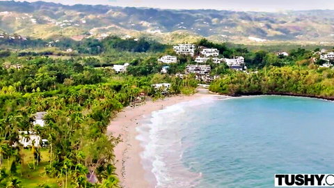 Tropical pink sand beach with turquoise waters and palm trees in TUSHY anal porn promo