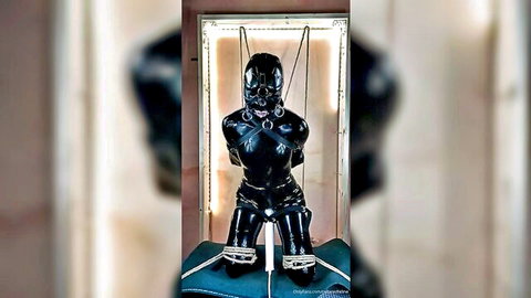 Collaredfeline in shiny black latex bondage gear, hooded and collared in suspended pose