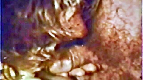 Retro close-up of hairy wet pussy in vintage XXX thumbnail