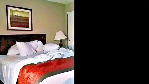 Messy hotel bed after Steve bangs amateur in Las Vegas 2016