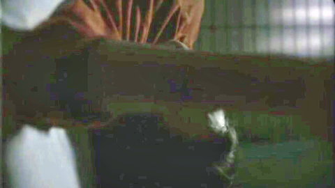 Yuki Amami, Shion Machida nude tits in Inugami 2001 erotic JAV scene