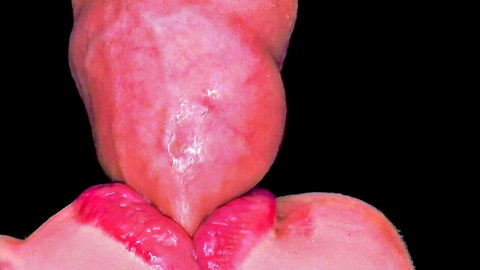 Close-up of open mouth with cum on tongue and lips after oral sex