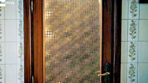Giovanna Sannino nude silhouette through frosted bathroom door