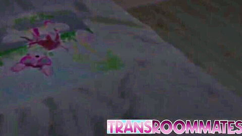 Trans beauties getting frisky in art lesson with colorful abstract design