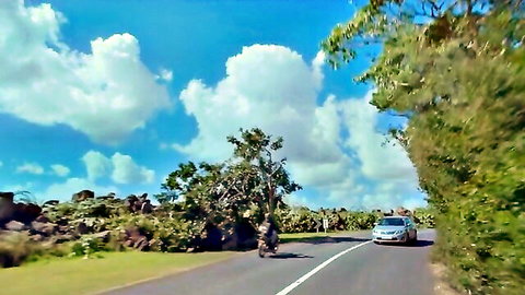 Sexy woman riding motorbike on tropical road, teasing body view