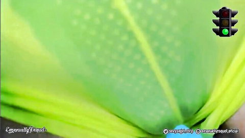 Blurry green leaves background with traffic light showing green and Latina text