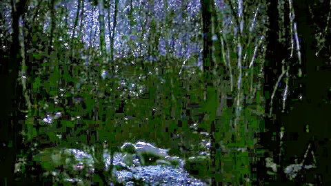 Anya Taylor-Joy in misty forest wolf scene from The Northman 2022