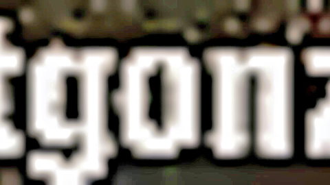 Pixelated white 'GONZONZ' text logo on black background